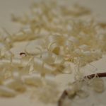 Totally gratuitous spruce shavings photo.
